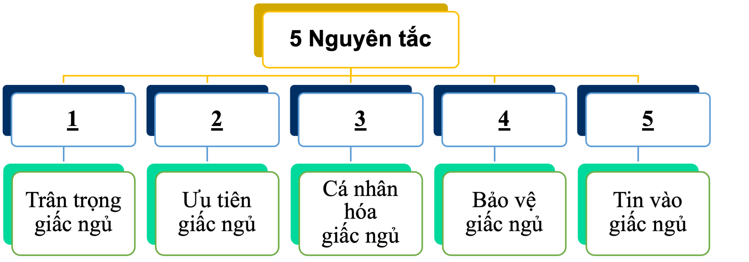 5 nguyen tac tran trong giac ngu