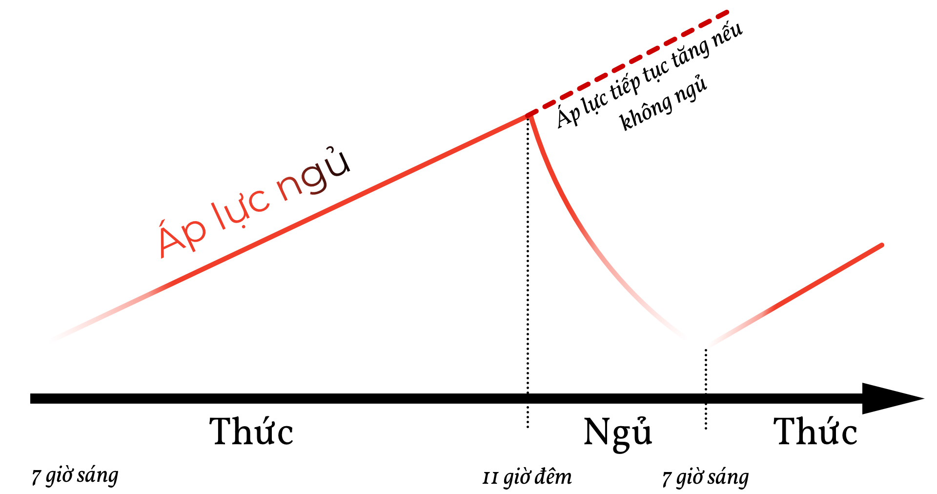 Áp lực ngủ