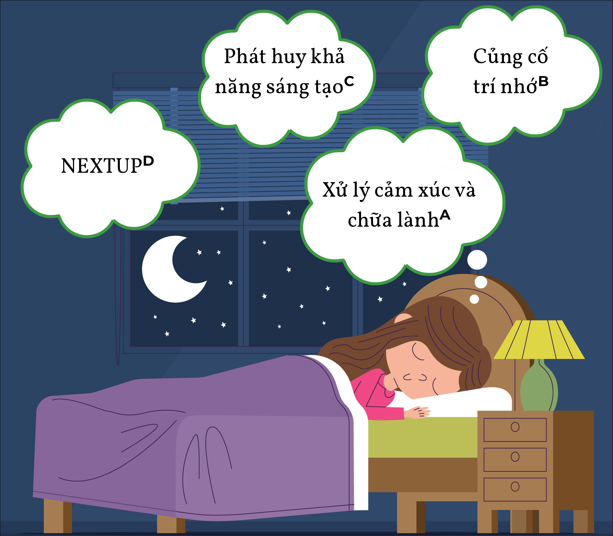 Chức năng của giấc mơ
