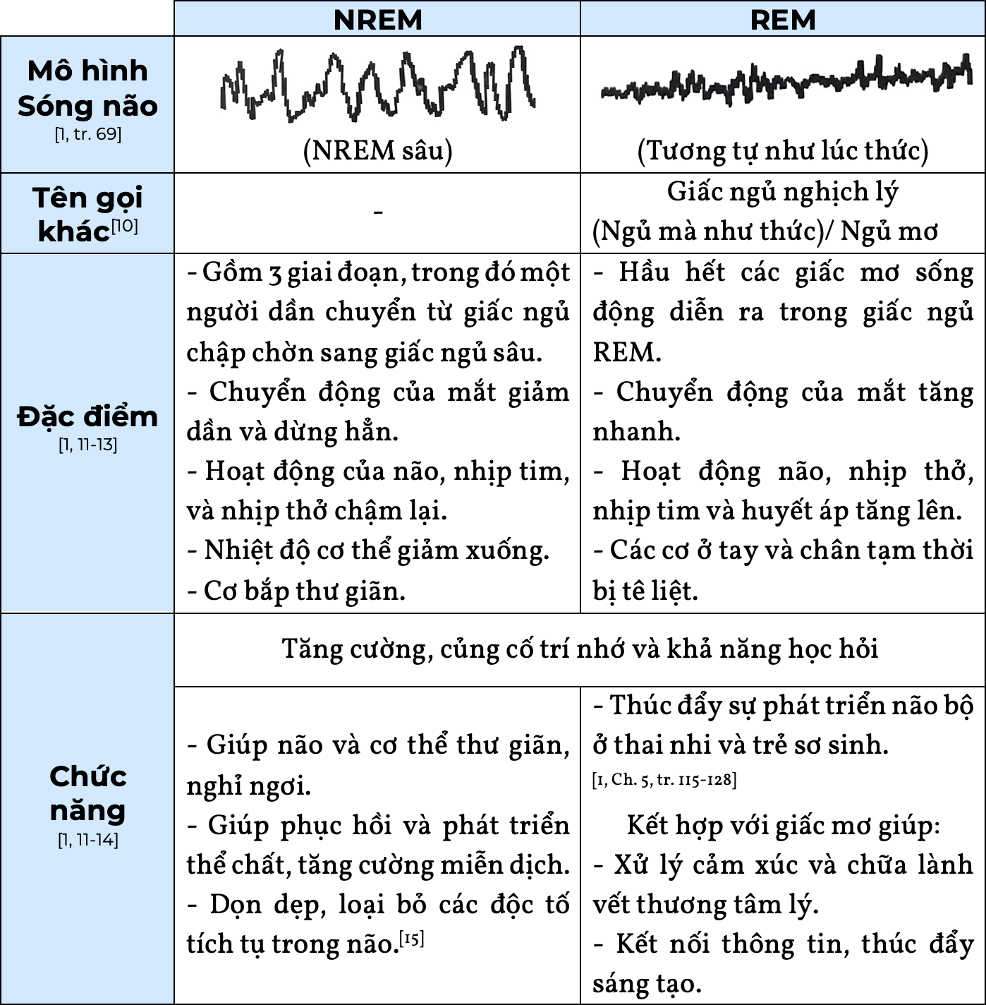 Giấc ngủ NREM và REM