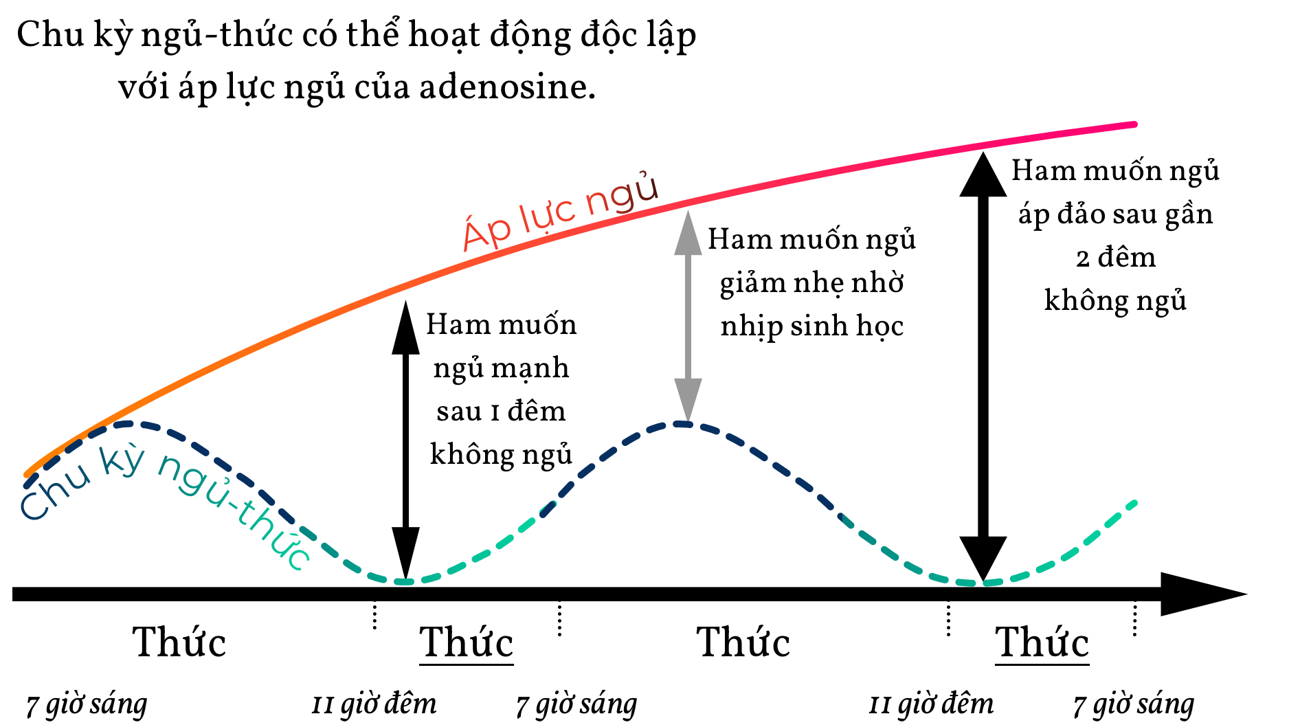 Kha nang hoat dong doc lap