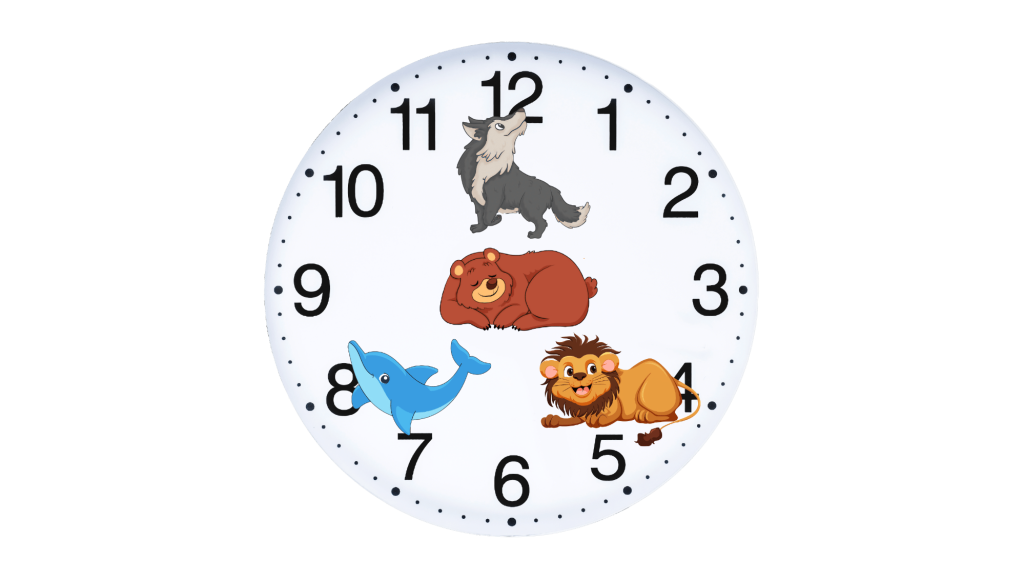 Chronotype