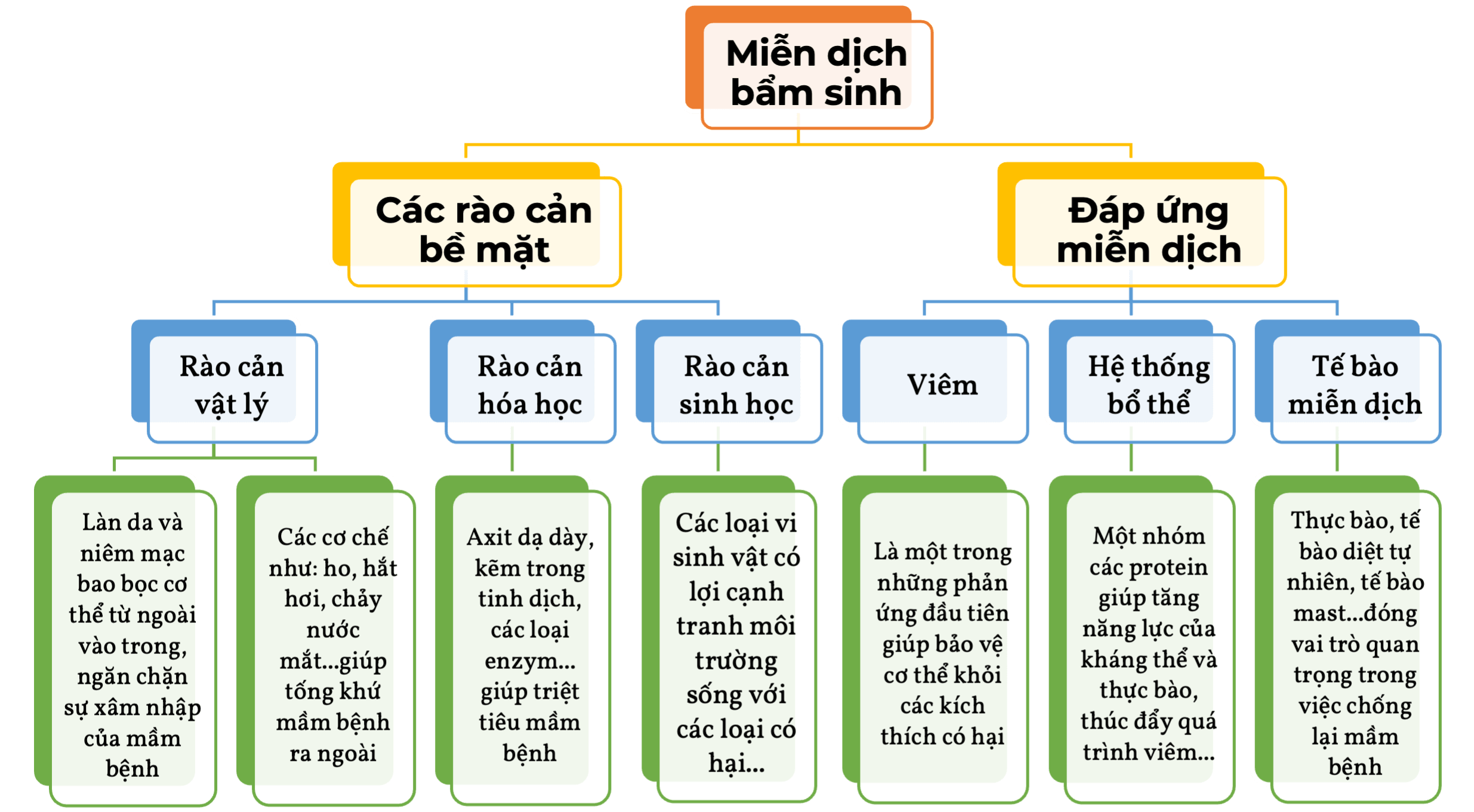 Hệ miễn dịch bẩm sinh