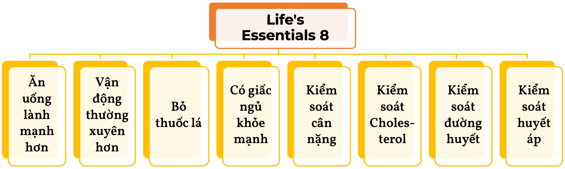 Lifes Essentials 8